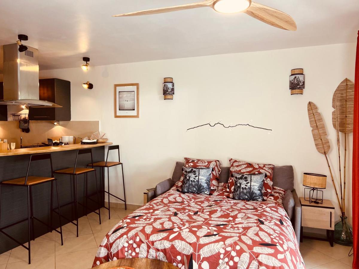 Cosy Letchis Apartment Saint Pierre Ngoại thất bức ảnh